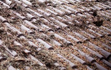 Millgate roof cleaning companies