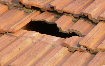 roof repair Millgate